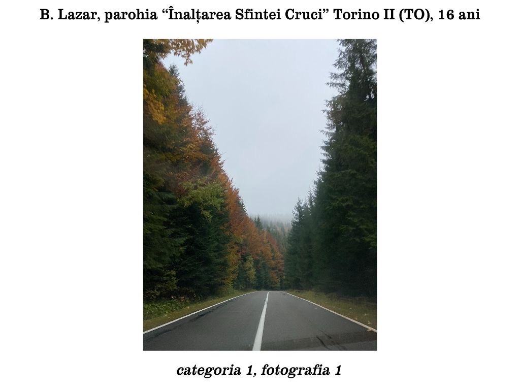 00 Căstigătpare cat.1 dimensioni grandi