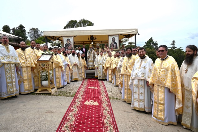 203 episcopia